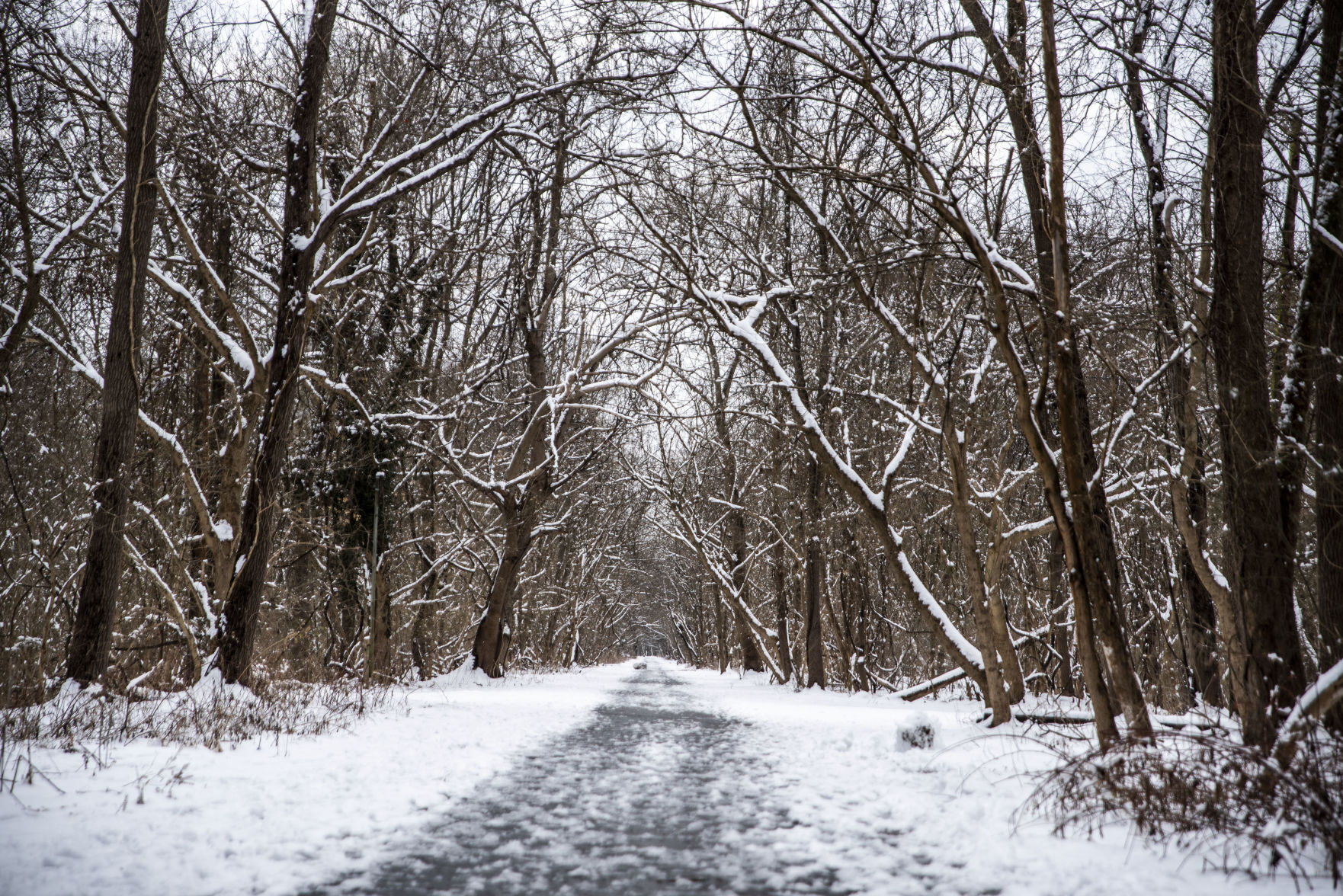 Snow